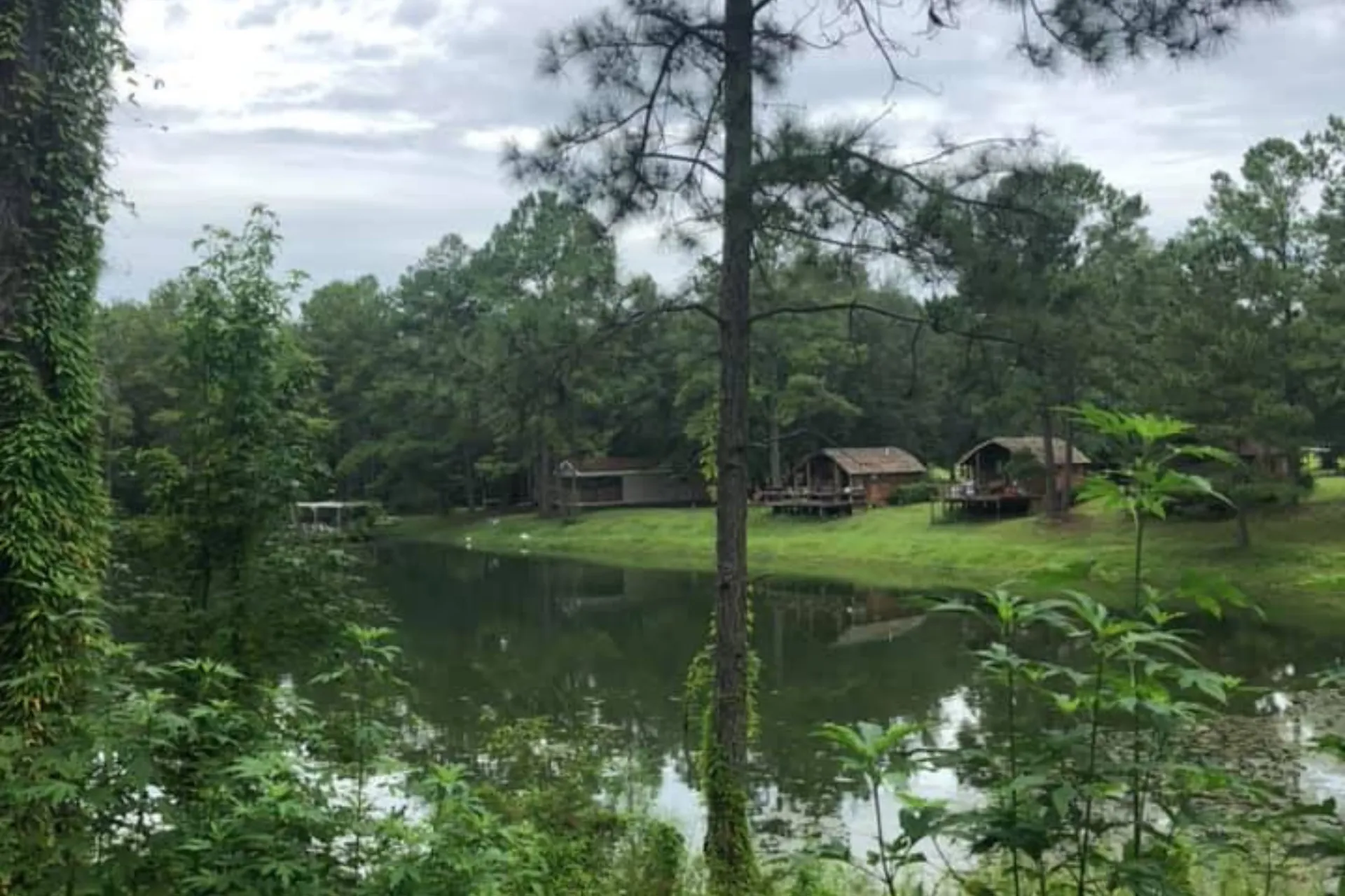 Small wooden lakeside cabins with private decks situated along a grassy shoreline and reflected in the calm water of a pond.
