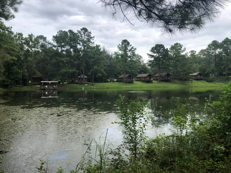 Scenic view of rustic wooden cabins along a calm lake at Tallahassee East Campground, surrounded by lush green pine trees under an overcast sky.
