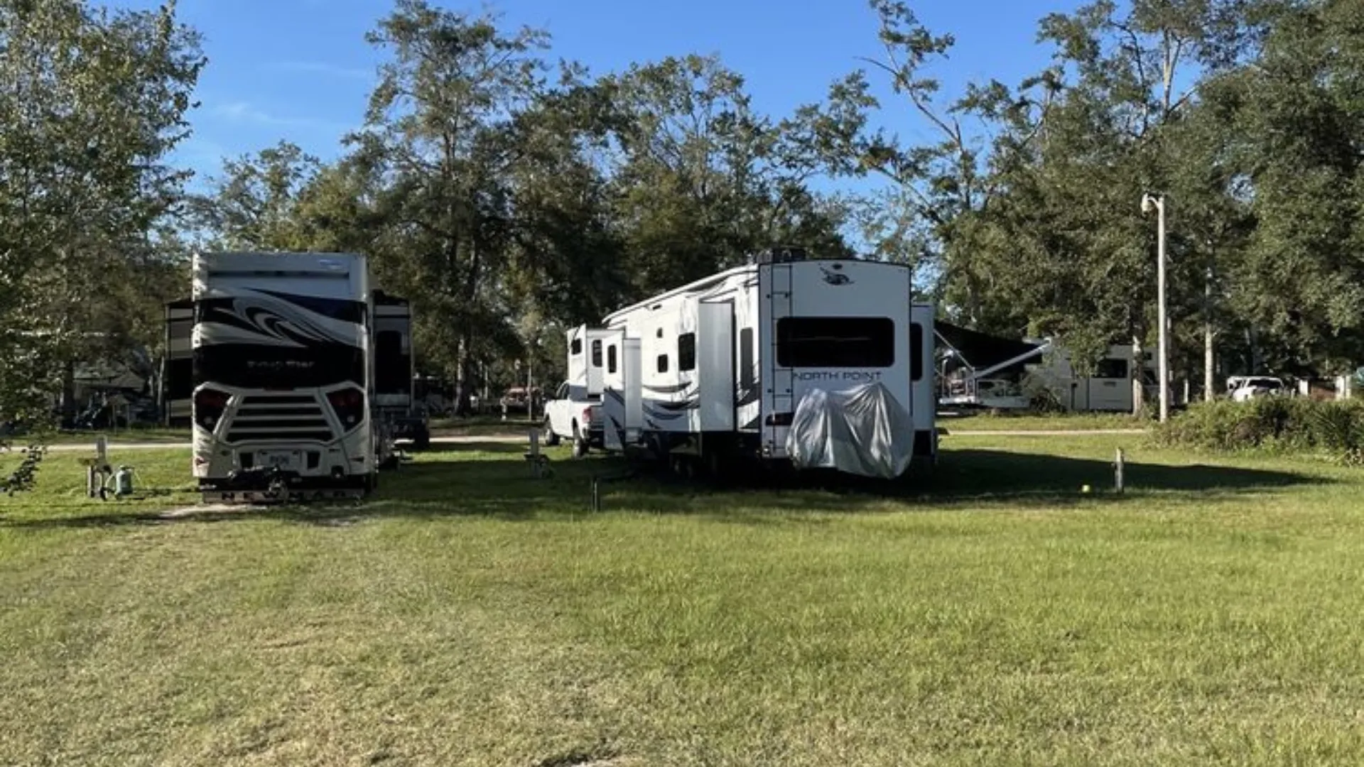 Large luxury fifth-wheel trailers and motorhomes parked in open, grassy pull-through sites at a Tallahassee RV resort under a clear blue sky.