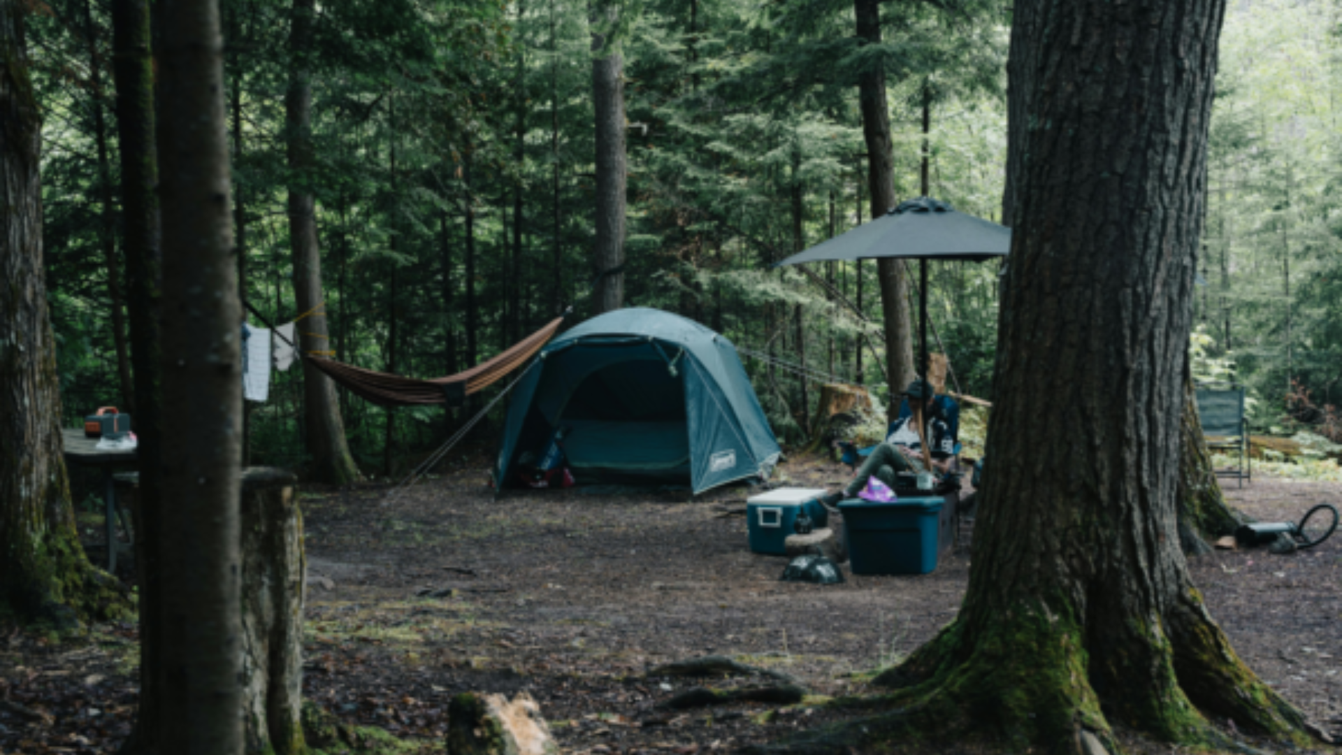 A secluded tent camping site at a Tallahassee RV park featuring a green Coleman tent, a hammock tied between trees, and a person sitting under a black sun umbrella.