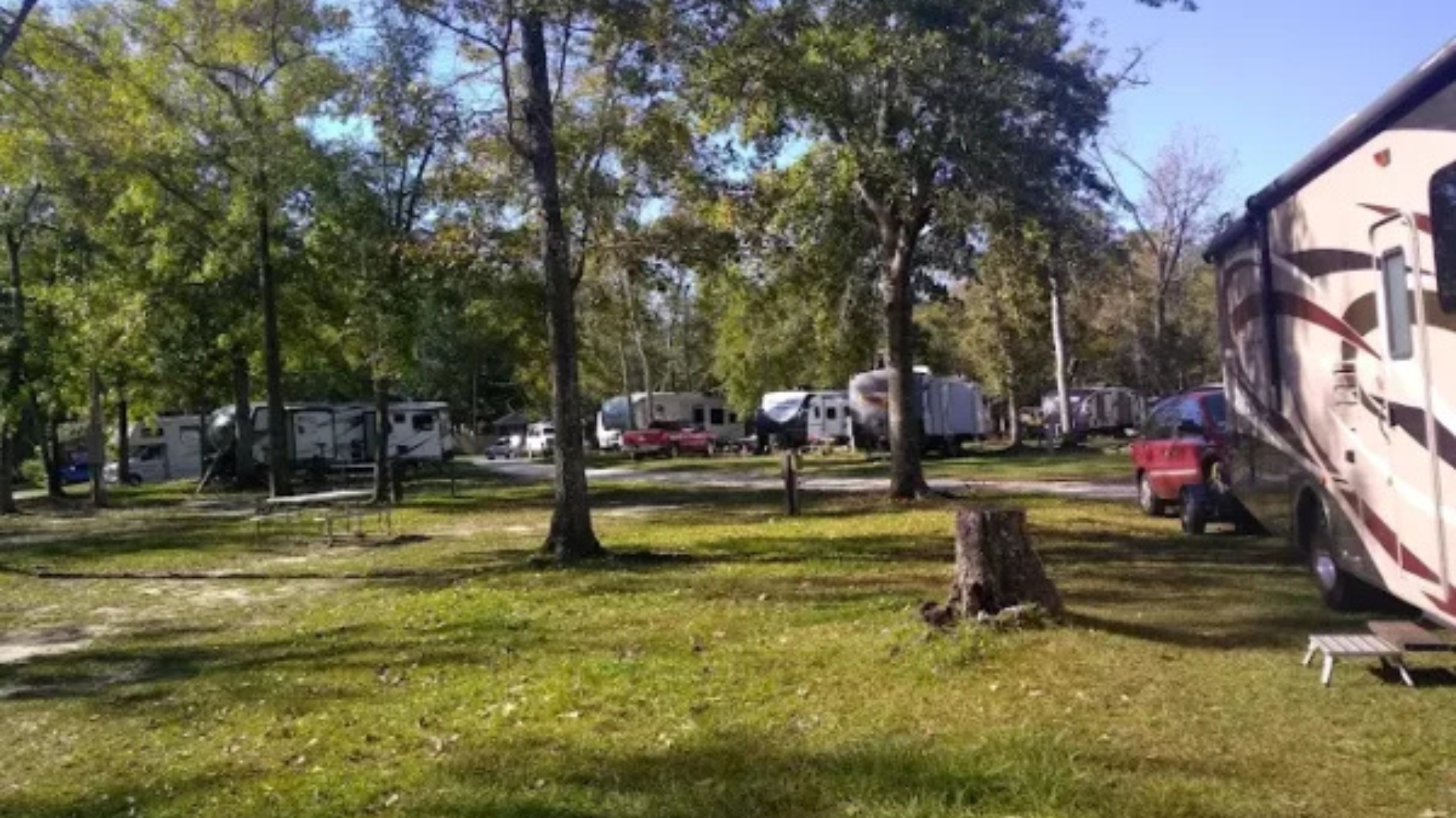 Various travel trailers and motorhomes parked in shaded, grassy campsites surrounded by mature trees at a Tallahassee RV resort.